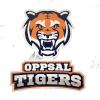 Oppsal Tigers 1